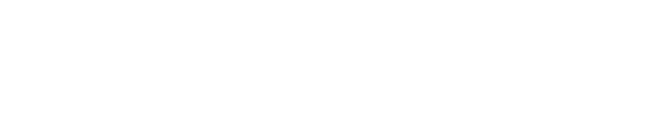 DCC Vital Logo
